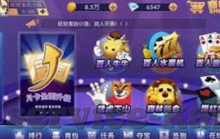 开云体育平台地址在哪-开启云端体育之旅，探索开云体育平台的独特魅力